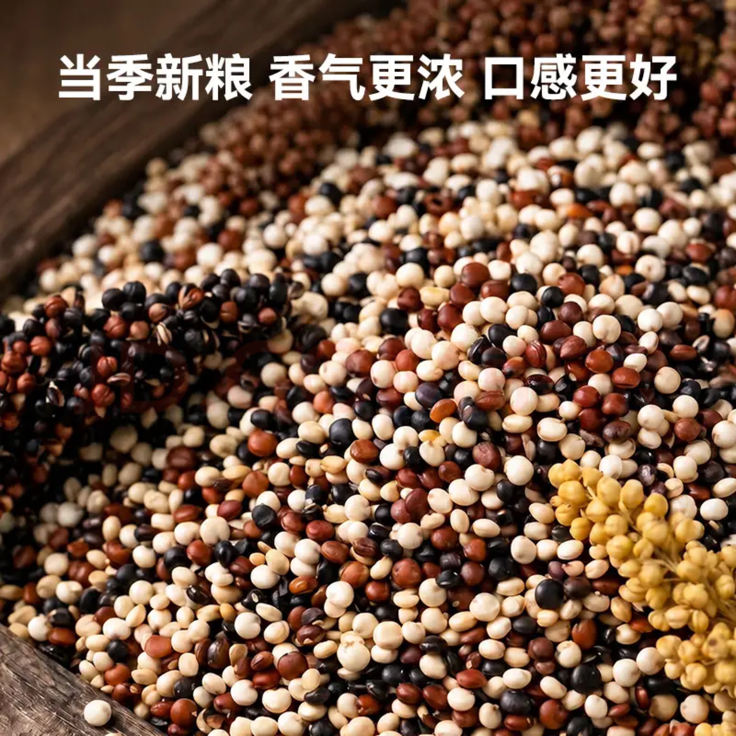 当季三色藜麦籽粒
